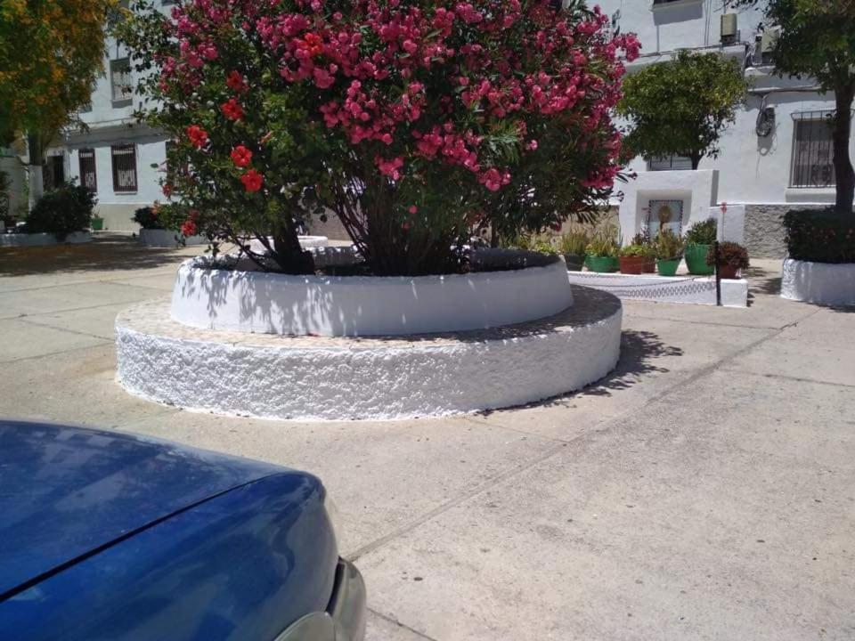 Apartamento Vegandi Barbate Exterior foto